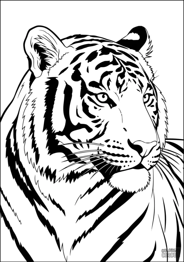 Coloring page of a realistic tiger head with detailed stripes and fur patterns