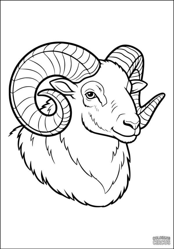 Coloring page featuring a detailed ram with large spiral horns