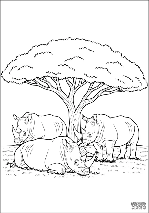 Coloring page with three rhinoceroses under an acacia tree in a savanna setting