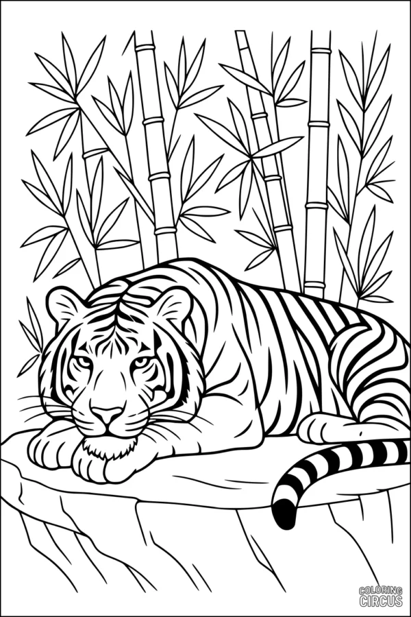 Coloring page of a tiger lying on a rock with bamboo trees in the background