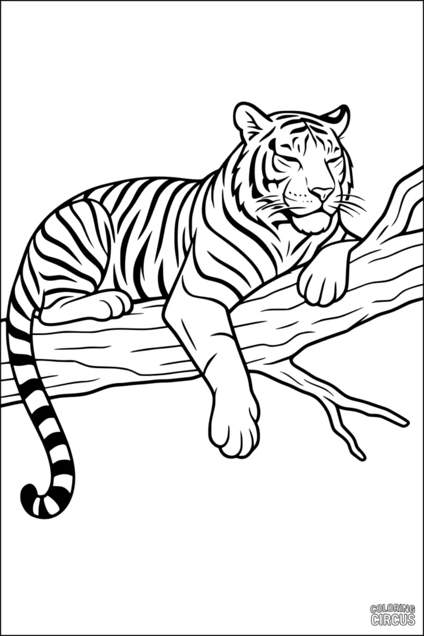 Coloring page showing a tiger lying on a tree branch with detailed stripes and relaxed pose.