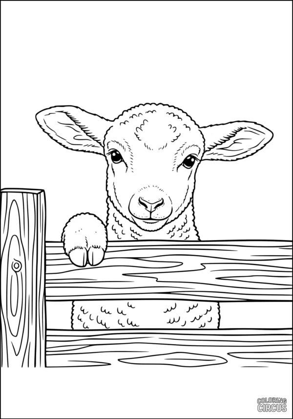 Coloring page shows a young sheep looking over a wooden fence with detailed wool and farm scenery.