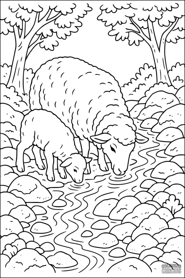 Coloring page with two sheep drinking from a stream in a rocky, wooded landscape