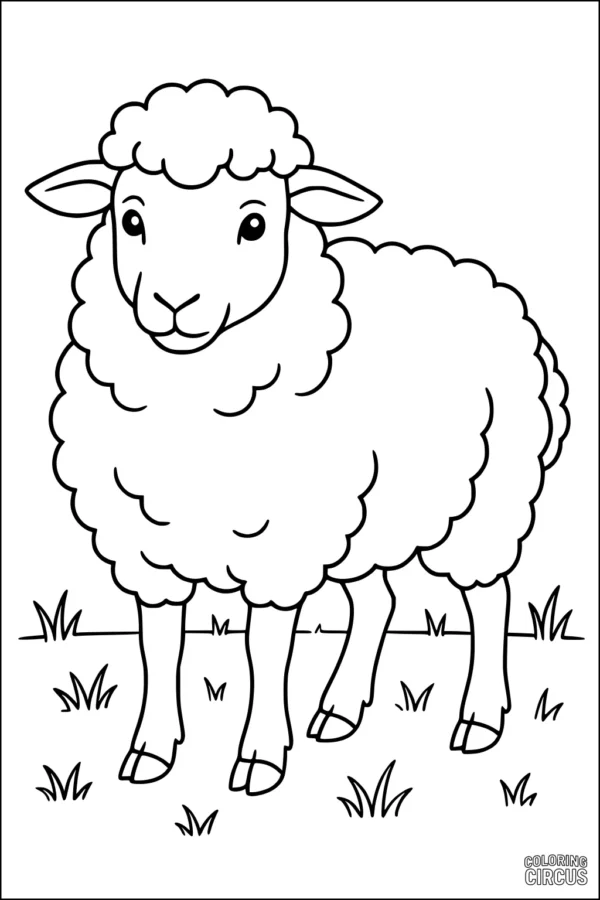 Coloring page with cute sheep in grassy field, easy for toddlers and young children