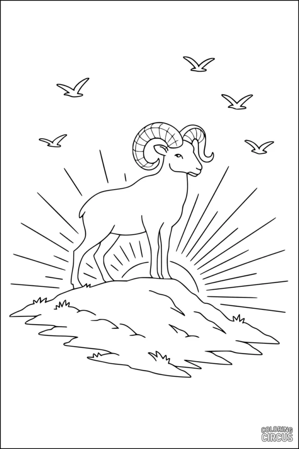 Coloring page of a sheep standing on a hill at sunrise with birds in the sky