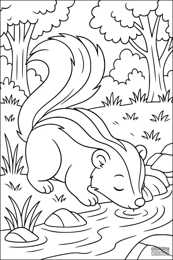 Coloring page with a cute skunk drinking from a stream in a forest setting with trees, grass, and rocks