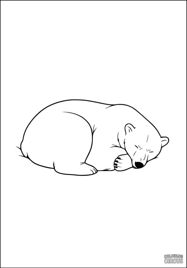 Coloring page showing a cute sleeping polar bear curled up peacefully