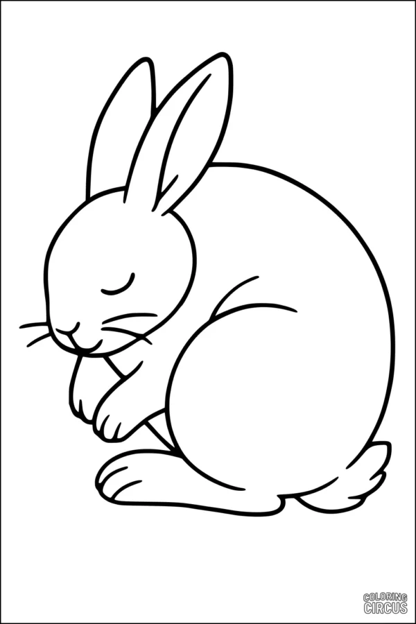 Coloring page of a sleeping rabbit curled into a cozy ball