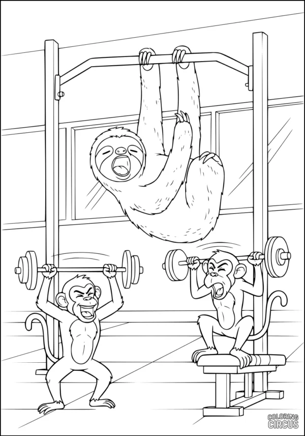 Coloring page of a sloth hanging from a gym bar with two monkeys lifting weights indoors