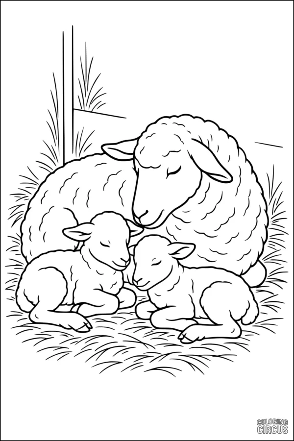 Coloring page showing a mother sheep with two lambs resting together on grass in a peaceful meadow