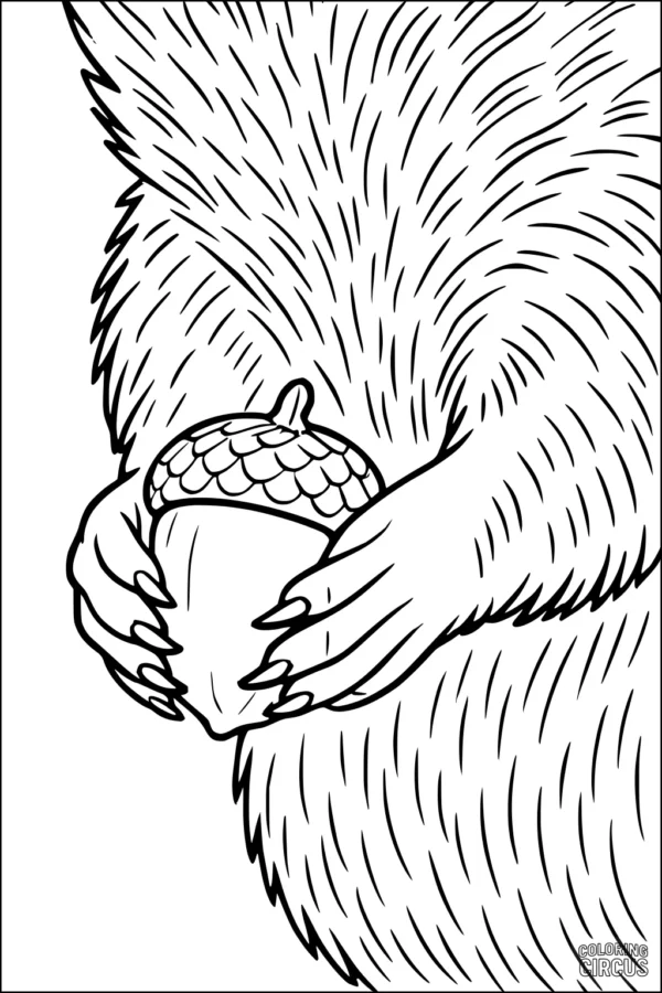 Coloring page showing a squirrel holding an acorn with furry details