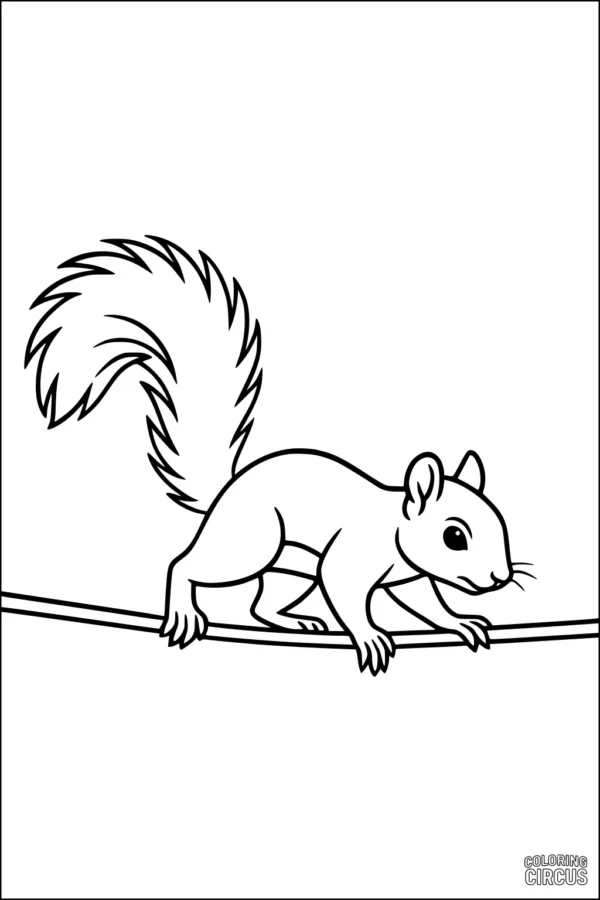Coloring page of a squirrel balancing on a branch