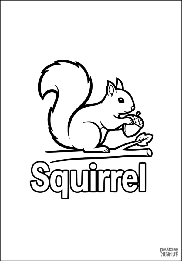 Coloring page showing a cartoon squirrel holding an acorn on a branch with the word Squirrel underneath.