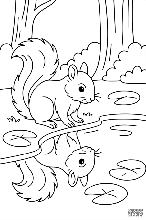Coloring page shows a cute squirrel looking at its reflection in a forest pond