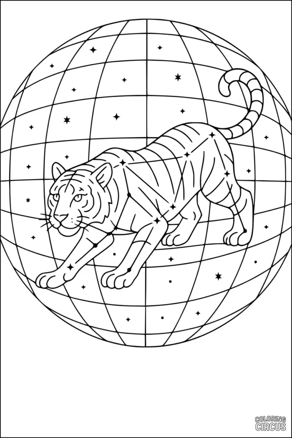 Coloring page of a tiger walking on a starry globe with constellations