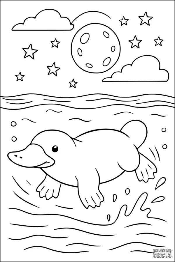 Coloring page platypus swimming at night with stars and moon