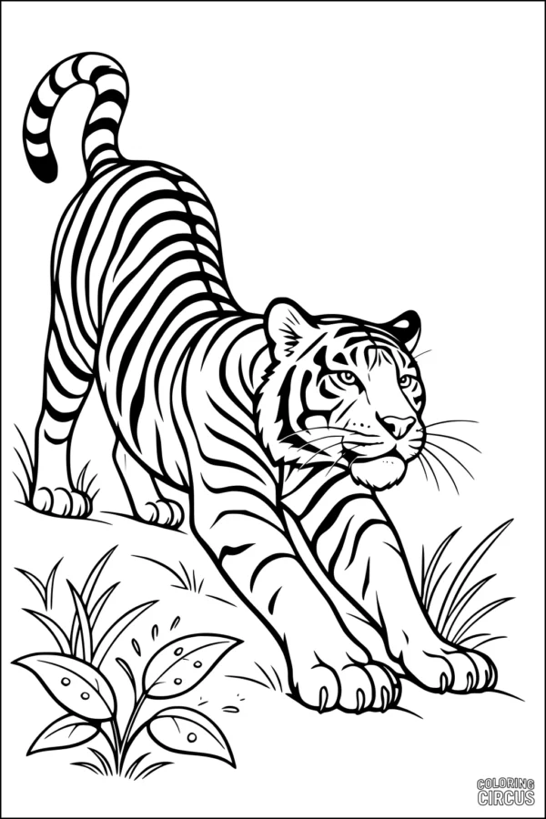 Coloring page of a stretching tiger with jungle plants