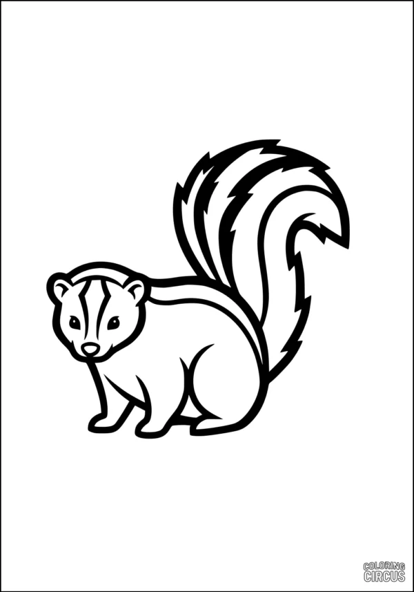 Coloring page of a cartoon skunk with fluffy tail and simple lines, suitable for young kids