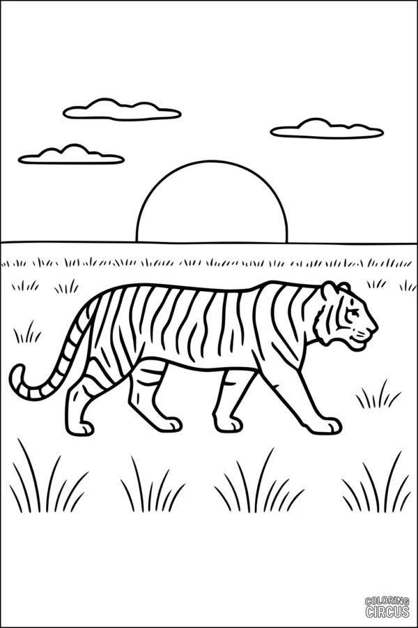Coloring page featuring a tiger walking in tall grass with a sunset and clouds in the background