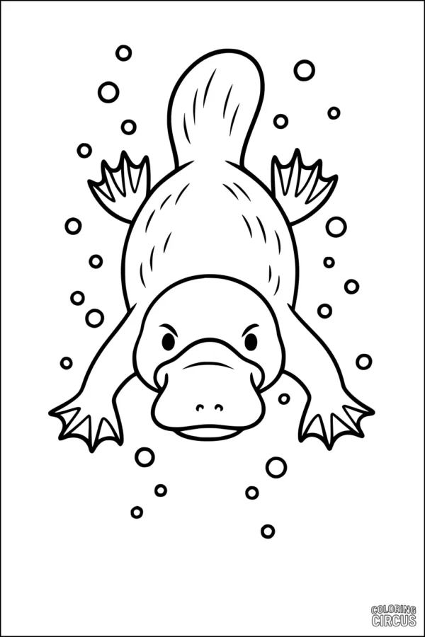 Coloring page of a platypus swimming underwater with bubbles around