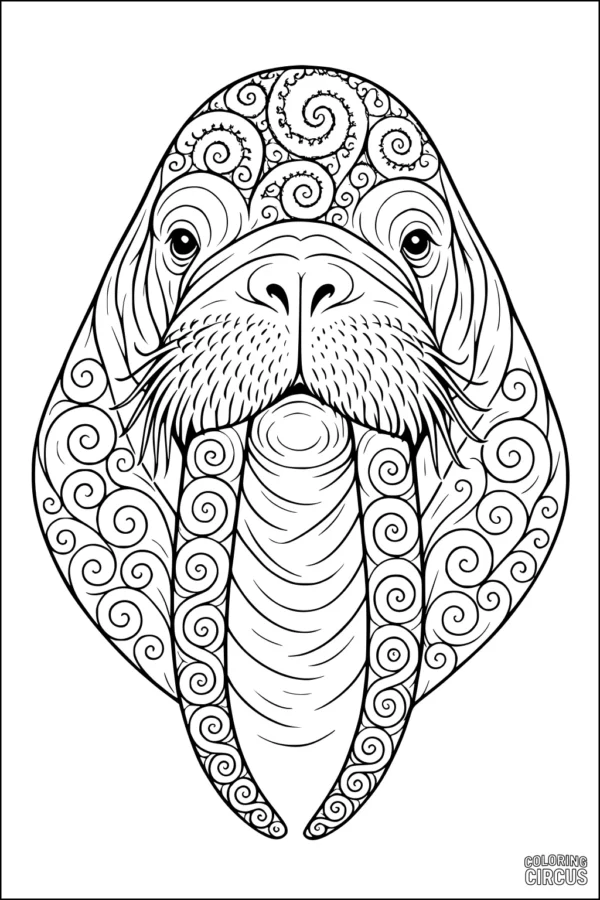 Coloring page of a detailed walrus face with swirling mandala patterns on tusks and head