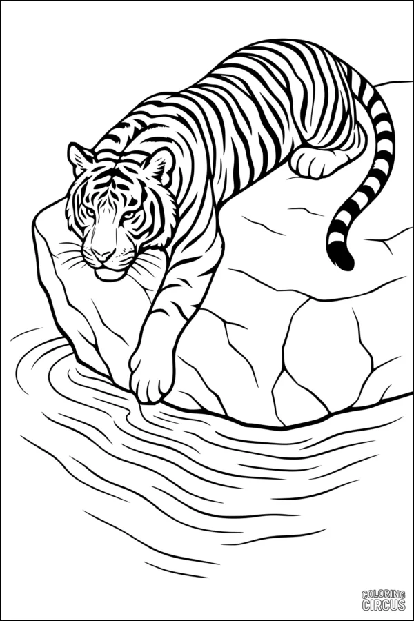 Coloring page showing a tiger lying on a rock near a river, suitable for kids