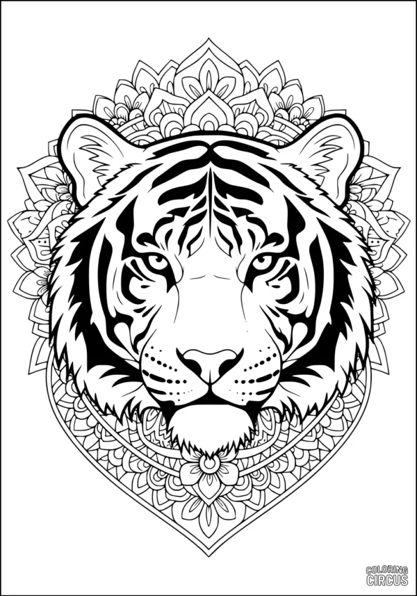 Coloring page depicting a detailed tiger face with an intricate mandala floral background, suitable for older kids and adults.