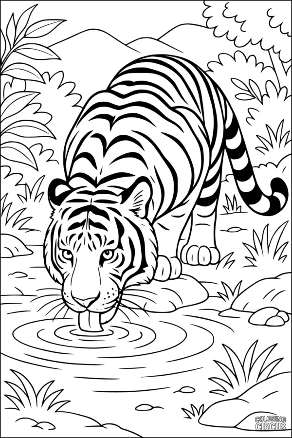 Coloring page of a tiger drinking water from a stream in a forest setting with plants and hills