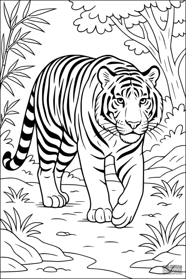 Coloring page showing a tiger walking on a forest path with bamboo and trees around
