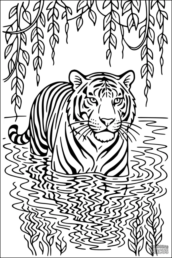 Coloring page showing a tiger in a river with leafy vines overhead and water reflections