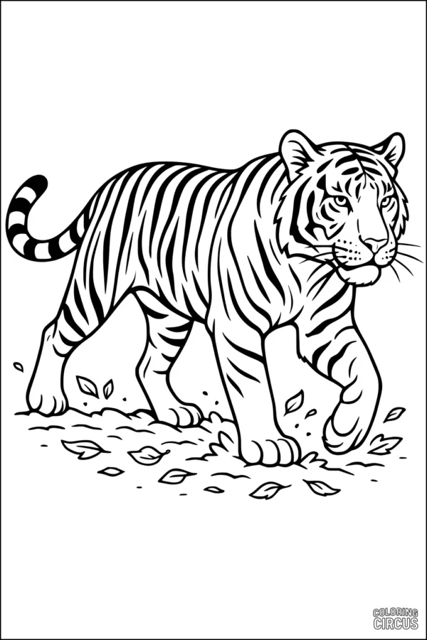 Coloring page featuring a tiger walking on a ground covered with leaves, ready for coloring for kids.