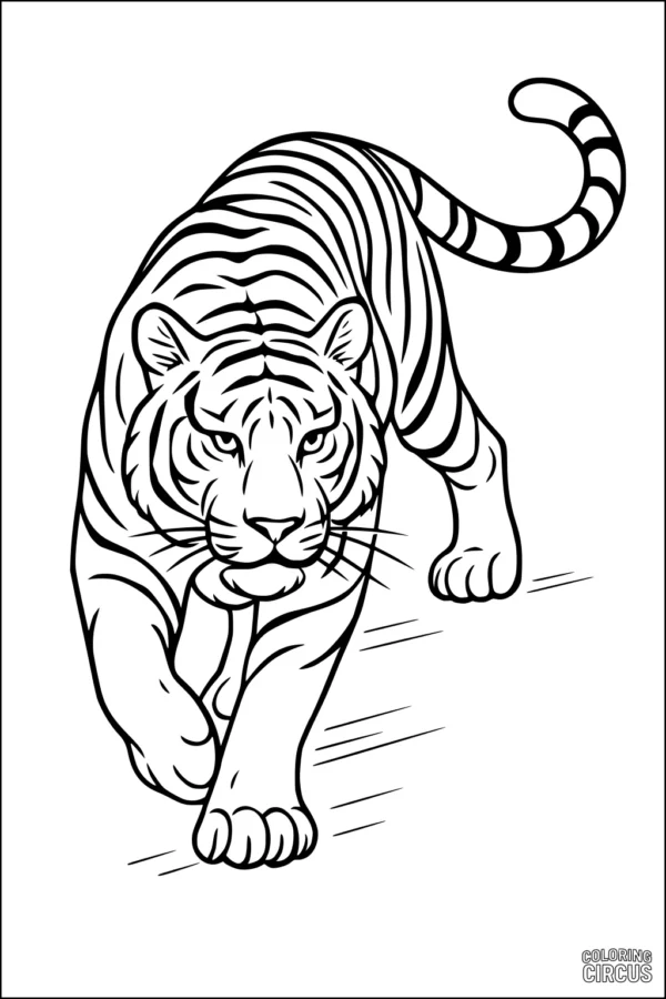 Coloring page tiger prowling with detailed stripes and confident pose for kids