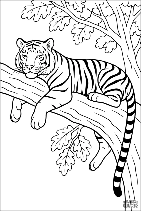 Coloring page featuring a relaxed tiger lying on a broad tree branch surrounded by leaves