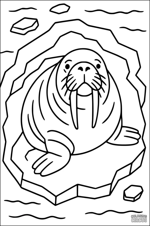 Coloring page featuring a friendly walrus sitting on an ice floe with water and ice chunks around it