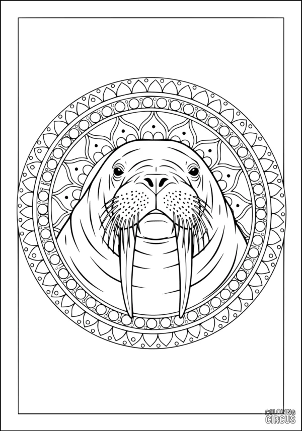 Coloring page of a walrus head framed by a detailed mandala design
