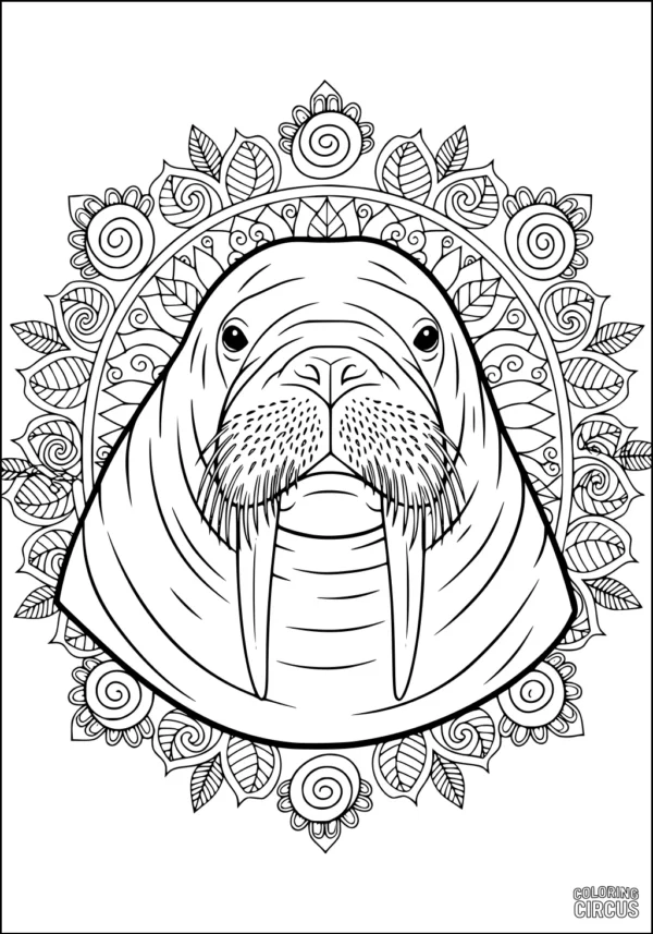 Coloring page featuring a detailed walrus portrait surrounded by decorative mandala-style leaves and swirls