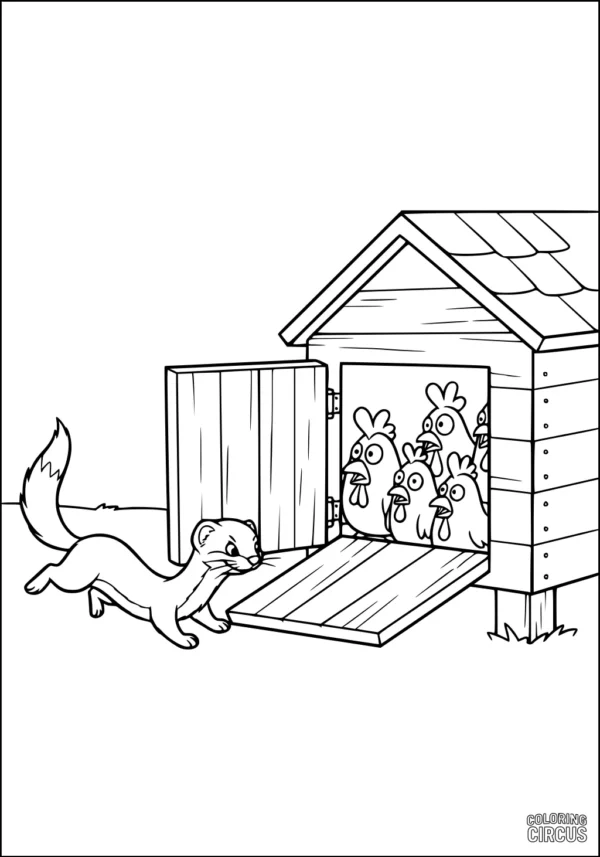 Coloring page showing a weasel approaching a chicken coop with chickens inside
