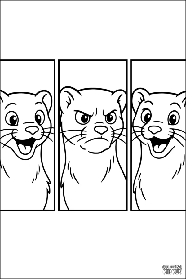 Coloring page with three weasel faces showing happy, serious, and curious expressions