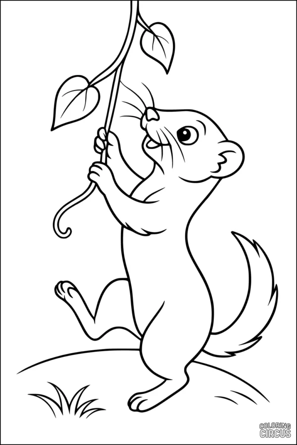 Coloring page showing a cute weasel swinging from a leafy vine in a garden