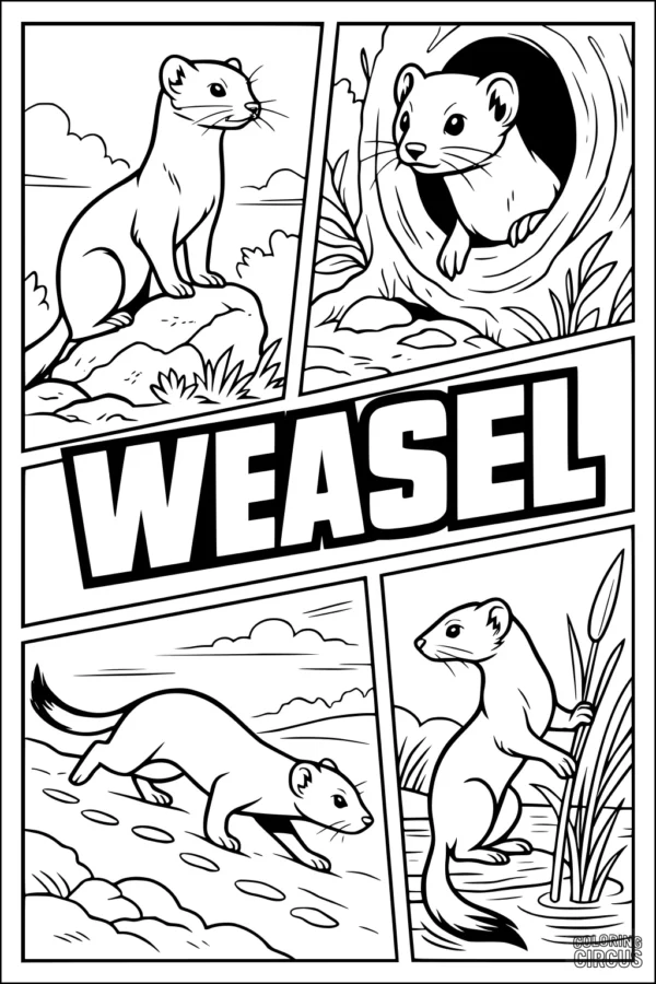Coloring page featuring four cartoon weasel scenes with varied nature backgrounds.
