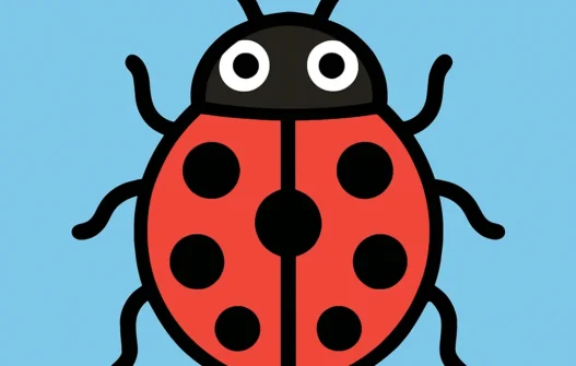 Beetle category image