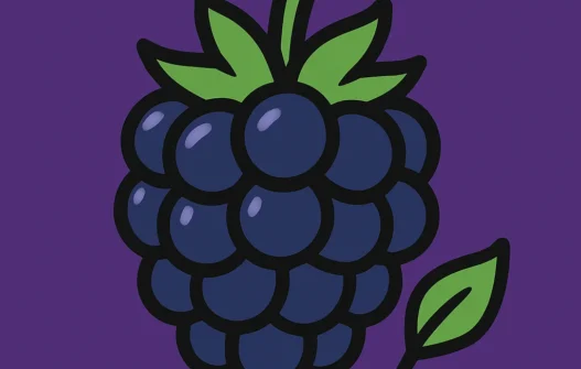 Blackberry category image
