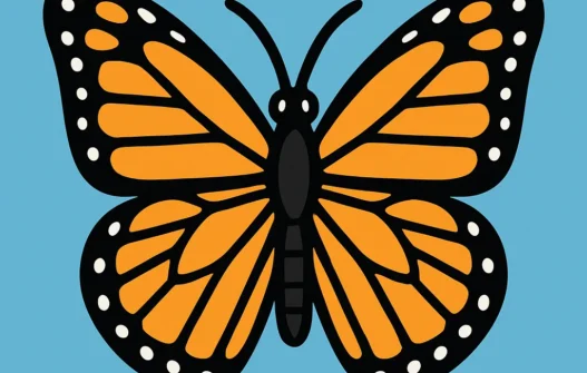 Butterfly category image