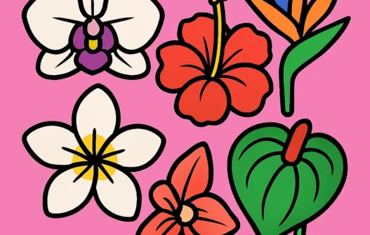 Exotic & Tropical Flowers category image