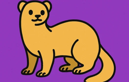Ferret category image