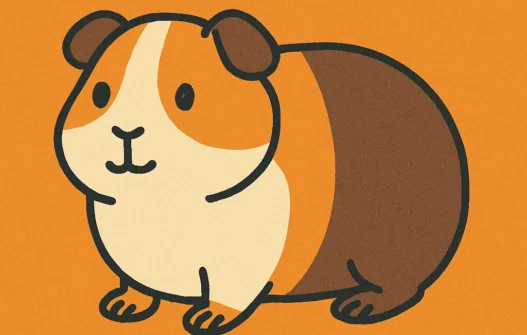 Guinea Pig category image