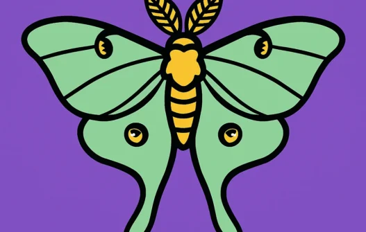 Moth category image