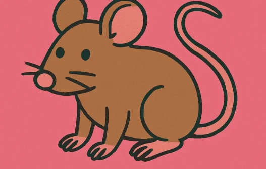 Mouse / Rat category image