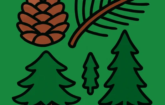 Pine Trees & Conifers category image