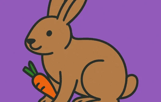 Rabbit category image